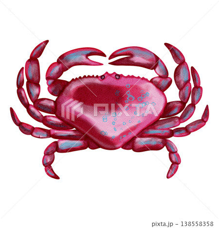 Watercolor illustration of a bright pink and purple crab. Cute marine crustacean. Bright illustrations, suitable for sea travel, cheerful summer designs, textiles, summer clothing. Print for kids 138558358
