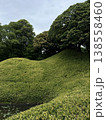 Green landscape with rolling hills and trees in Japanese park. Concept of nature, tranquility, and outdoor environment. Scenic view of lush greenery under cloudy sky. 138558460