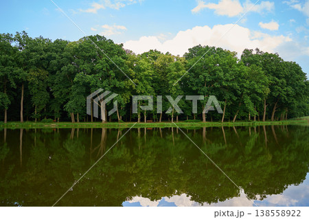 Green trees reflected in calm lake under blue sky Green trees reflected in calm lake under blue sky 138558922