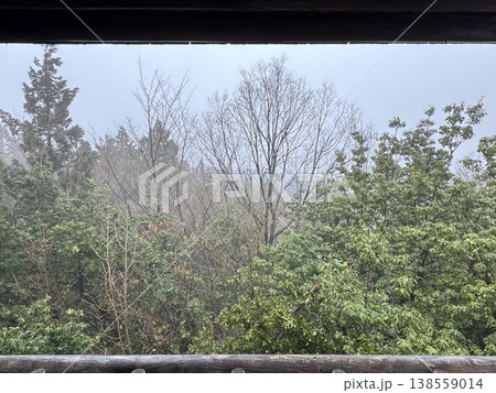 冬の森・額縁風（撮影地：グリーンパーク吉峰　※富山県立山町、撮影時期：2月） 138559014
