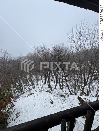 冬の森・雪原（撮影地：グリーンパーク吉峰　※富山県立山町、撮影時期：2月） 138559016