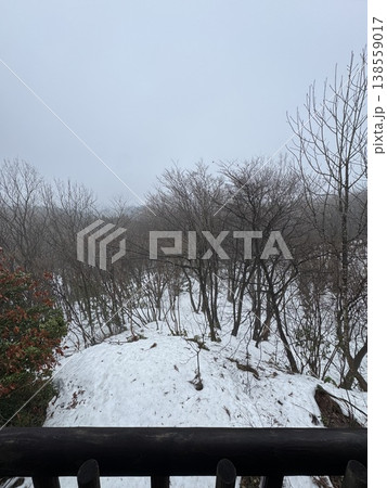 冬の森・雪原（撮影地：グリーンパーク吉峰　※富山県立山町、撮影時期：2月） 138559017