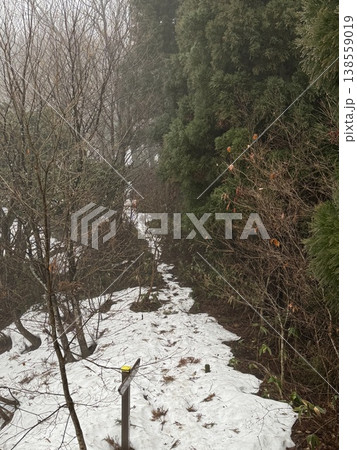 冬の森・雪の道（撮影地：グリーンパーク吉峰　※富山県立山町、撮影時期：2月） 138559019