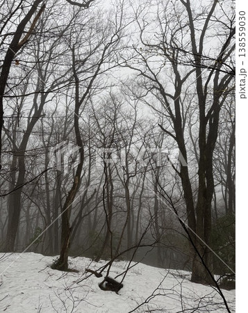 冬の森・雪山（撮影地：グリーンパーク吉峰　※富山県立山町、撮影時期：2月） 138559030