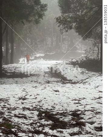 冬の森・雪の道・人物（撮影地：グリーンパーク吉峰　※富山県立山町、撮影時期：2月） 138559031
