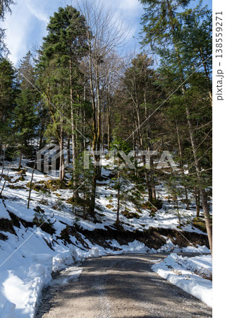 Curving gravel road in snowy evergreen forest 138559271