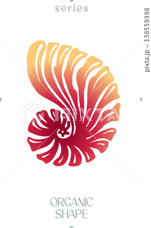 Abstract Nautilus Shell Organic Shape Vector Abstract Nautilus Shell Organic Shape Vector 138559398