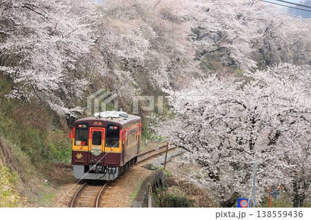 わたらせ渓谷鐵道「桜並木のカーブを走る列車」 わたらせ渓谷鐵道「桜並木のカーブを走る列車」 138559436