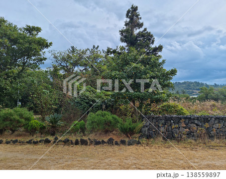 Outdoor park with autumn grass and trees. Outdoor park with autumn grass and trees. 138559897