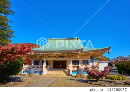 秋の東京都世田谷区豪徳寺の本堂を見る 秋の東京都世田谷区豪徳寺の本堂を見る 138560077