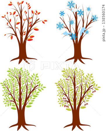 Tree Seasons 138560174