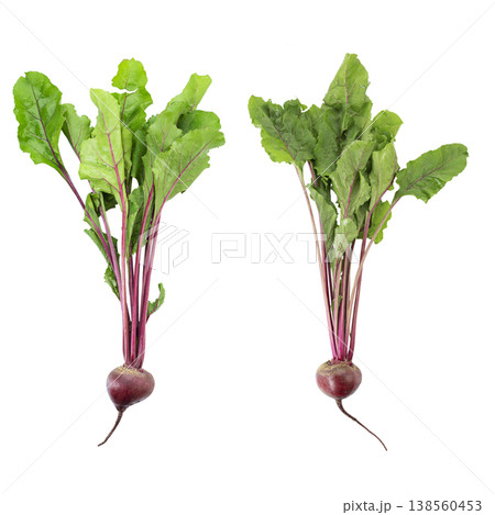Two fresh raw baby beets with green leaves isolated on white background 138560453
