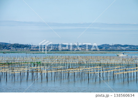 アオサ養殖の漁場（静岡県浜名湖） 138560634