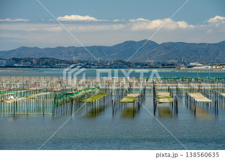 アオサ養殖の漁場（静岡県浜名湖） 138560635