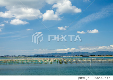 アオサ養殖の漁場(静岡県浜名湖) アオサ養殖の漁場(静岡県浜名湖) 138560637