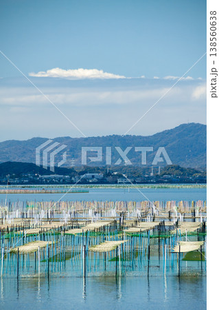 アオサ養殖の漁場(静岡県浜名湖) アオサ養殖の漁場(静岡県浜名湖) 138560638