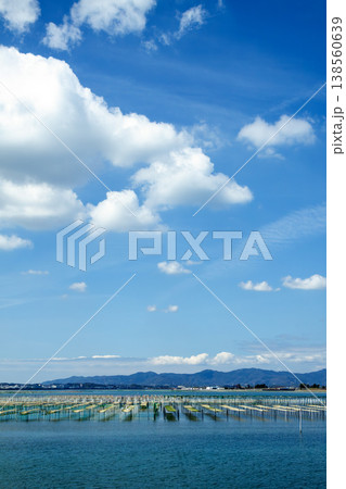 アオサ養殖の漁場(静岡県浜名湖) アオサ養殖の漁場(静岡県浜名湖) 138560639