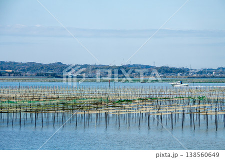 アオサ養殖の漁場（静岡県浜名湖） 138560649