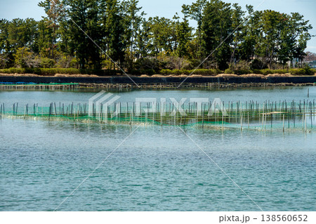 アオサ養殖の漁場（静岡県浜名湖） 138560652