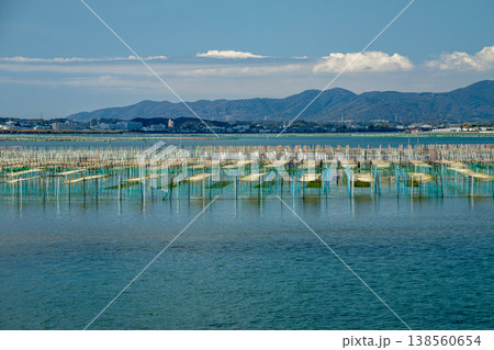 アオサ養殖の漁場（静岡県浜名湖） 138560654