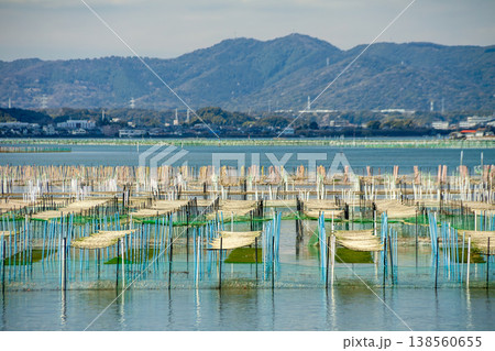 アオサ養殖の漁場(静岡県浜名湖) アオサ養殖の漁場(静岡県浜名湖) 138560655
