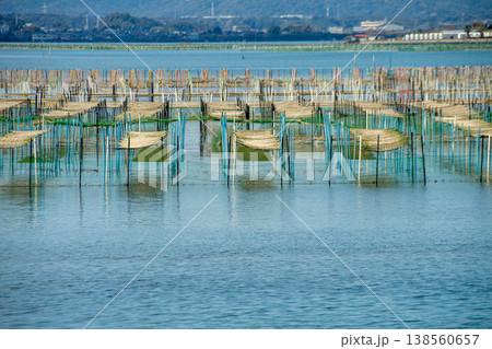 アオサ養殖の漁場（静岡県浜名湖） 138560657