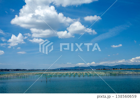 アオサ養殖の漁場（静岡県浜名湖） 138560659