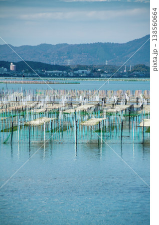 アオサ養殖の漁場（静岡県浜名湖） 138560664