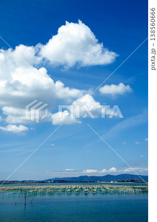 アオサ養殖の漁場(静岡県浜名湖) アオサ養殖の漁場(静岡県浜名湖) 138560666