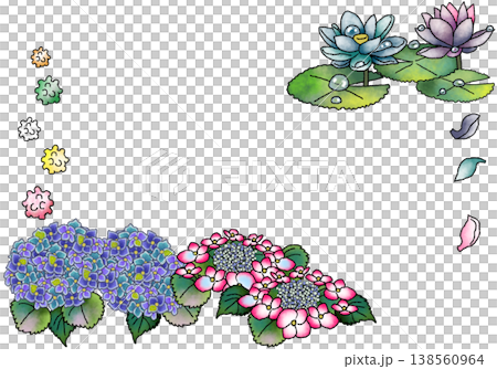 雨季的繡球花和蓮花（PNG格式，透明背景） 138560964