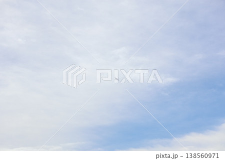 白い雲と青空と飛行機のいる空の風景 白い雲と青空と飛行機のいる空の風景 138560971