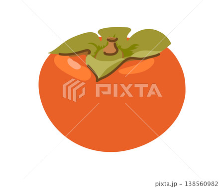 Persimmon fruits on a white background. Ripe orange fruit. Vector illustration. A common food in Asia. Persimmon fruits on a white background. Ripe orange fruit. Vector illustration. A common food in Asia. 138560982
