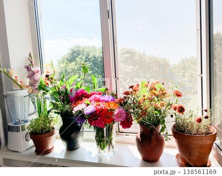 A vase with seasonal flowers sits on a windowsill in an apartment. Sunlight shines through the window, highlighting the colorful blooms and greenery A vase with seasonal flowers sits on a windowsill in an apartment. Sunlight shines through the window, highlighting the colorful blooms and greenery 138561169