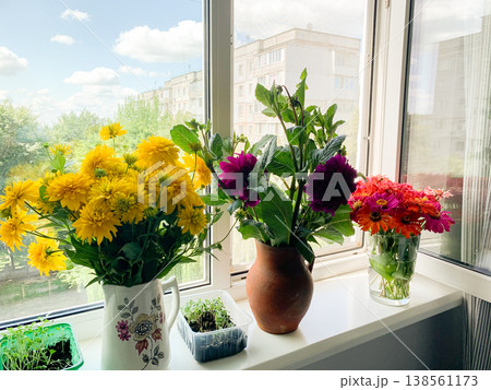 A vase with seasonal flowers sits on a windowsill in an apartment. Sunlight shines through the window, highlighting the colorful blooms and greenery 138561173