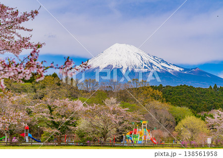 (静岡県)大渕公園の満開の桜と富士山 (静岡県)大渕公園の満開の桜と富士山 138561958