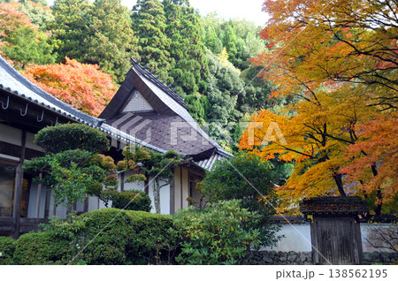 京都 亀岡 法常寺の紅葉 京都 亀岡 法常寺の紅葉 138562195