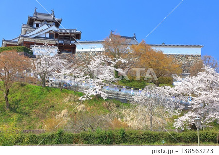 【京都府】桜が満開の福知山城 138563223