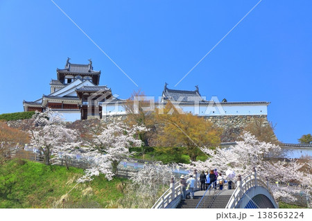 【京都府】桜が満開の福知山城と昇龍橋 【京都府】桜が満開の福知山城と昇龍橋 138563224