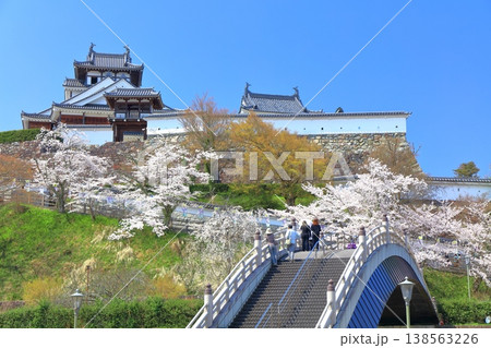 【京都府】桜が満開の福知山城と昇龍橋 138563226