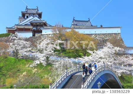 【京都府】桜が満開の福知山城と昇龍橋 【京都府】桜が満開の福知山城と昇龍橋 138563229