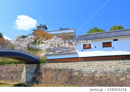 【京都府】桜が満開の福知山城と佐藤太清記念美術館 138563238