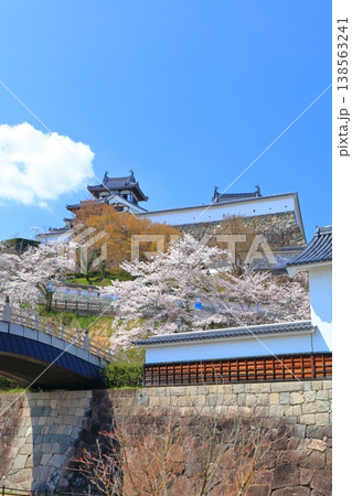 【京都府】桜が満開の福知山城 138563241