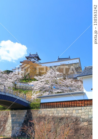 【京都府】桜が満開の福知山城 138563242
