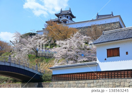 【京都府】桜が満開の福知山城 138563245