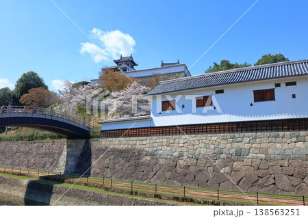 【京都府】桜が満開の福知山城と佐藤太清記念美術館 138563251