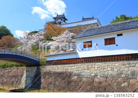 【京都府】桜が満開の福知山城と佐藤太清記念美術館 138563252