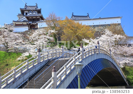 【京都府】桜が満開の福知山城と昇龍橋 138563253