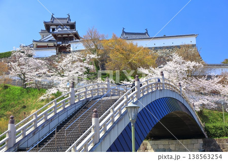 【京都府】桜が満開の福知山城と昇龍橋 【京都府】桜が満開の福知山城と昇龍橋 138563254