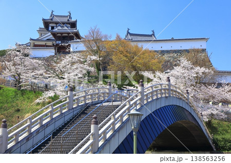 【京都府】桜が満開の福知山城と昇龍橋 【京都府】桜が満開の福知山城と昇龍橋 138563256