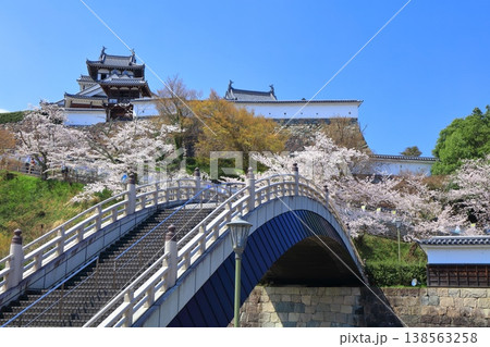 【京都府】桜が満開の福知山城と昇龍橋 【京都府】桜が満開の福知山城と昇龍橋 138563258